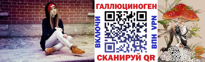 Галлюциногенные грибы мицелий  KRAKEN зеркало  Салаир 