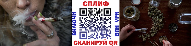 Бошки Шишки гибрид  Салаир 